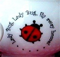 Lady Bug Tea Set for 4